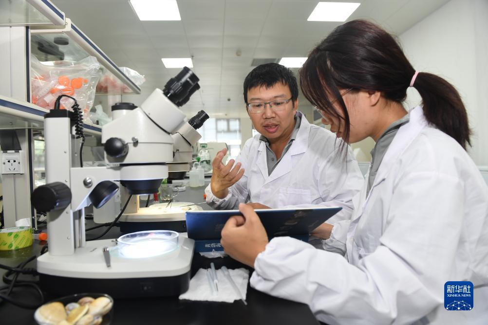 扑克牌斗牛下载